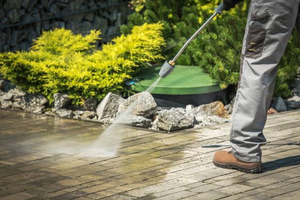 Best Fence Cleaning  in Tamiami, FL